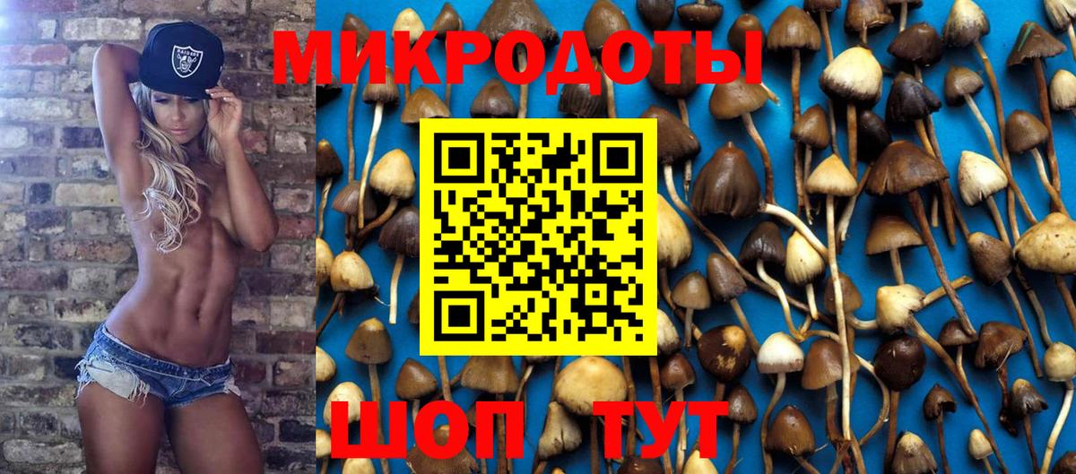Галлюциногенные грибы мухоморы  Вход с VPN  Калуга  Псилоцибиновые грибы Psilocybine cubensis 